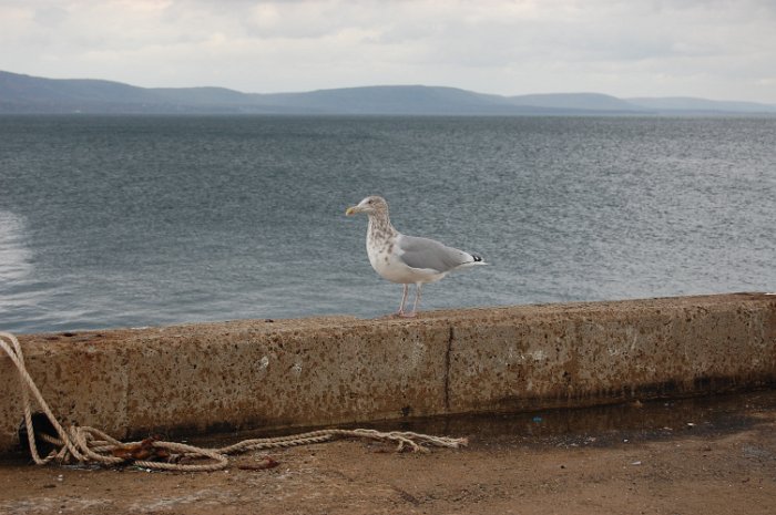 Immobilien Kanada Staedte Umgebung_70